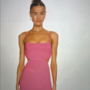 Elegant Pink Sleeveless Dress New with tags